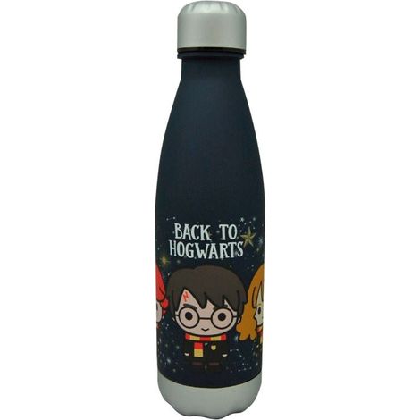 Hogwarts-Themed 650ml Bottle for Harry Potter Fans