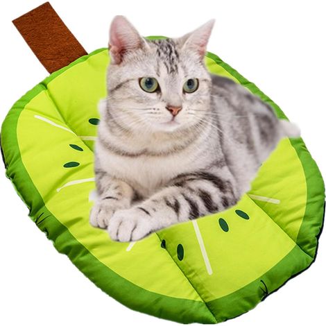 Tapis rafraîchissant Kiwi pour chiens, tapis lavable pour animaux de compagnie, tapis portable antidérapant à motif de fruits mignons pour chatons et chiots, matelas d'été pour lit, coussins pour nich (1/5)