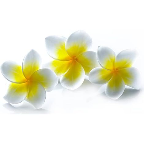Lot de 6 têtes de fleurs artificielles en mousse de frangipanier rouge (Plumeria Rubra) de 6,9 cm (2,7 pouces), style hawaïen-AquaForge (1/5)