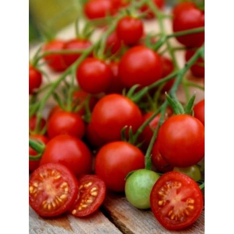 Tomate cerise 'Supersweet' le sachet de 10 graines