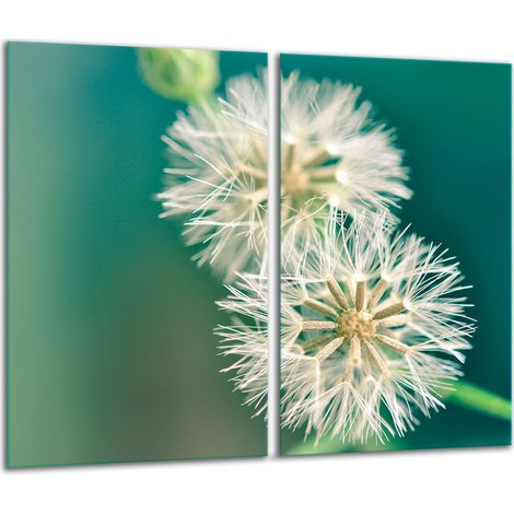 Tagliere in vetro 2x 30x52 fiori (1/5)