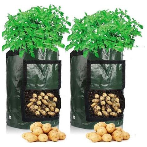 CSPARCV 2 große Pflanzsäcke, 50 l, 34 x 35 cm, Pflanzsäcke für Kartoffeln, Karotten, Erdbeeren, Erdbeer-Anzuchtsäcke (1/5)