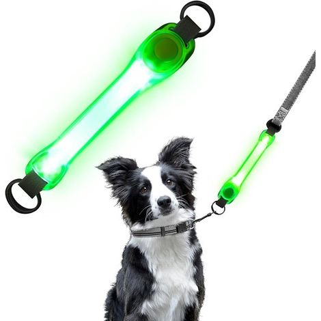 Lampe LED verte pour chien - Collier lumineux - Étanche et lumineuse (1/5)
