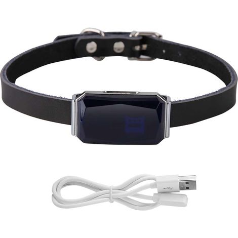 Collier GPS anti-perte étanche pour chiot (bleu)