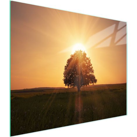TAGLIERE IN VETRO 52x30 TREE (1/5)