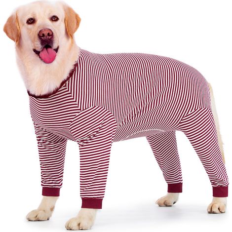 Combinaison de récupération pour chien - Bodysuit à manches longues avec fermeture éclair, combinaison après chirurgie, combinaison chirurgicale, protège-plaies post-stérilisation/castration (1/5)