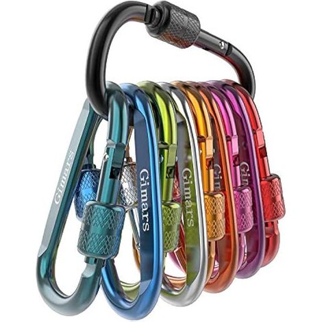 Lot de 10 mousquetons en D en aluminium avec écrou, 6 x 6 x 3,2 cm, à ressort, robustes et légers, parfaits pour le camping, la randonnée, la salle de sport, la pêche et le trekking.