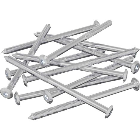 vidaXL  Furniture Screws  12 pcs Silver M6 x 100 mm Steel