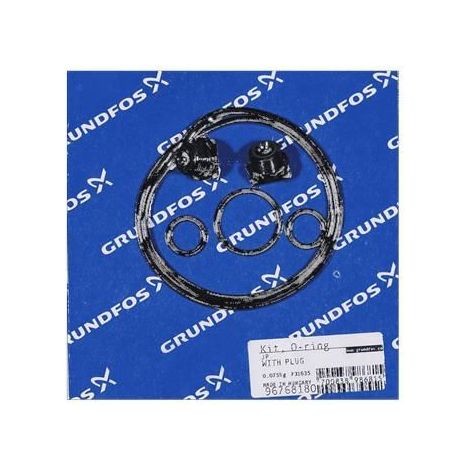 GRUNDFOS Ersatzteil Kit O-Ring für JP5/6 mit Stopfen (1/2)