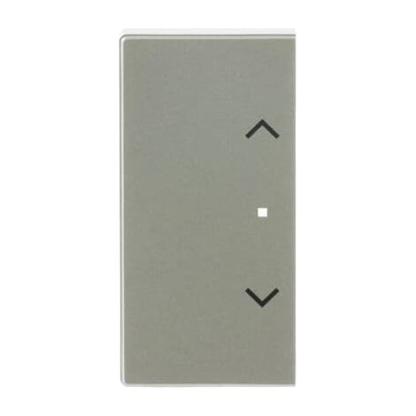Busch-Jaeger Bascule 2 compartiments gauche/droite, avec symbole "Store" symbole "Store" 2 compartiments inox - pur edelstahl (6232-20-866), 2CKA006220A0420