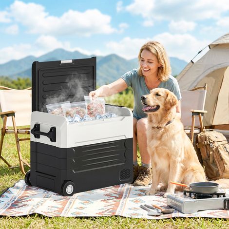 Glacière à compresseur 50 L, plage de température -20 °C à 20 °C, contrôle bi-zone via application, témoin LED alerte batterie, poignée pliable (1/5)