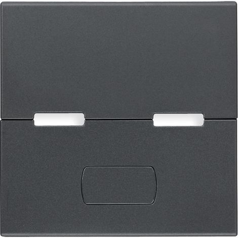 VIMAR - R20532.0 Tasto 2M pers. pulsanti semplici grigio