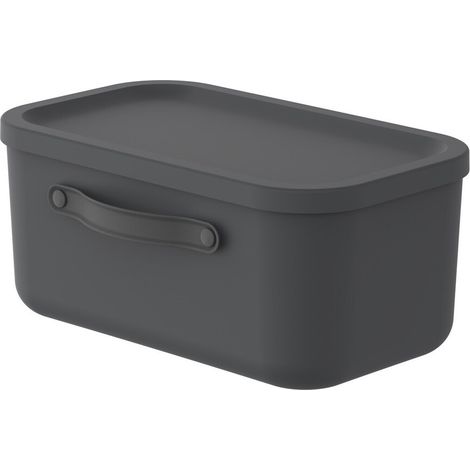 Rotho Aufbewahrungsbox Mythen mit Deckel 39,5 x 26,5 cm 12 L schwarz