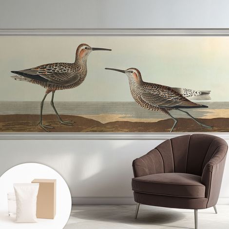 Tapete Vliestapete mit Kleber - modernes Design - Wohnungsdeko - geruchslos - langlebig Vogelsilhouetten 250x104 cm