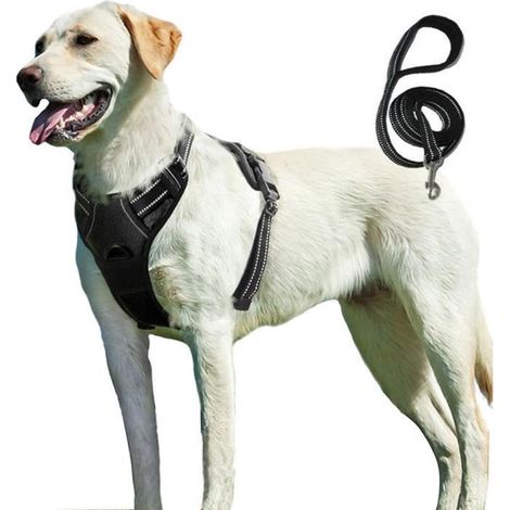Harnais Chien - BIGILANTUH - M - Anti Traction - Réfléchissant - Durable (1/4)
