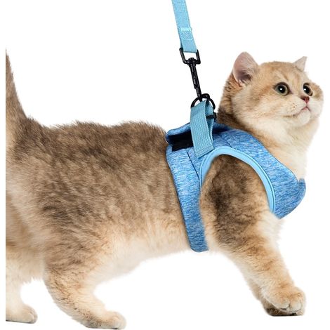 Harnais pour Chat, Bleu Harnais Petit Chien, Taille M Gilet de Traction pour Animaux de Compagnie Coupe, Laisse pour Chaton, pour Entraînement de Sécurité, Voyage, Randonnée, Aventures en Plein Air (1/5)