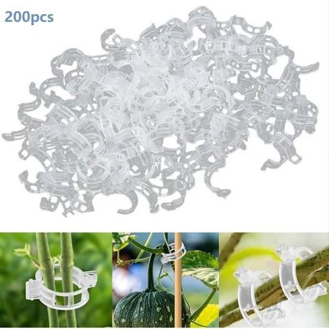 Universelle Pflanzenklammer aus Kunststoff - 200 Stück - Transparent