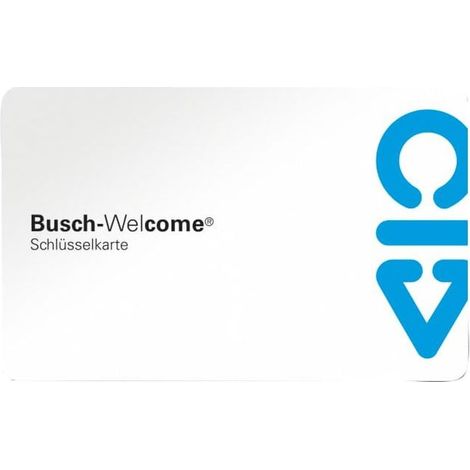 Busch Jaeger Schlüsselkarte 83173 54x86mm