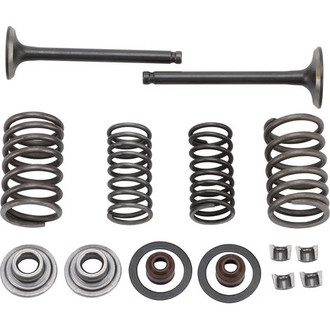 Valve repair kit, compatible with 70cc, 80cc, 90cc, 100cc and 110cc horizontal engines for off-road vehicles, karts and motorcycles.--DTEKGAZ