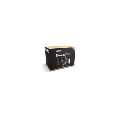 Kit di manutenzione per trattorini Serie 4, Modello 31 Briggs & Stratton. Composto da tre taniche di olio da 0,6 L SAE30, di un filtro