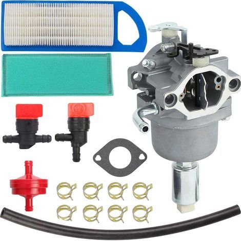 Carburateur 796109 compatible Briggs & Stratton 594593 591731 590400 796078 498811 794161 795477 avec kit de mise au point, filtre à air et conduite de carburant (1/5)