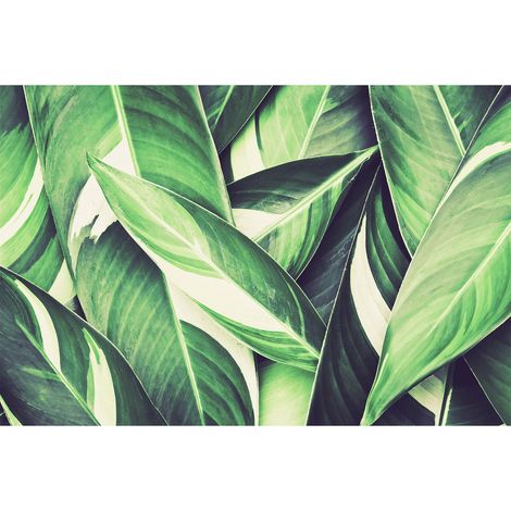 Papier peint panoramique jungle vert & blanc | Tapisserie panoramique feuille verte moderne | Papier peint panoramique cuisine & salon - 267 x 400 cm (4 pièces) (1/2)