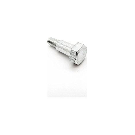 118550165/0 - Vis Fixation Réservoir pour Moteur GGP