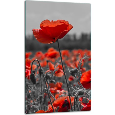 TABLERO DE MESA CON PANEL DE CRISTAL DE 30x52 CM, DISEÑO DE FLORES (1/5)