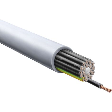 LAPP ÖLFLEX Classic 110 20G1mm² AD 13,4mm Nennspannung Uo/U 300V/500V - 1 Meter (1/2)