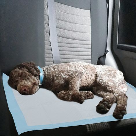 Wolketon 200 traversine per cani 45x60 cm, tappetini igienici monouso per addestramento