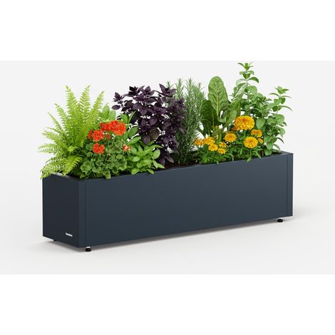 Herstera Garden Pflanzkasten Balcony 100x25x25cm