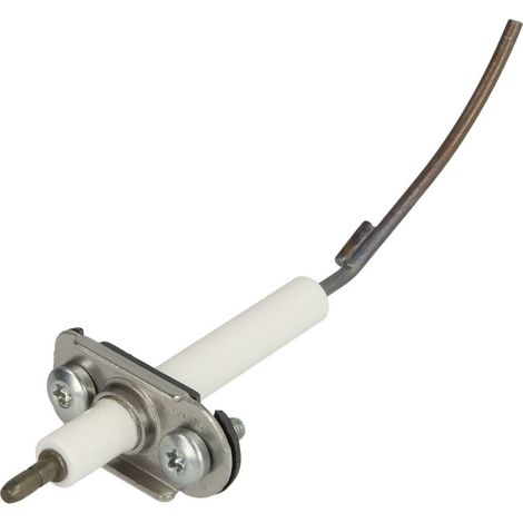 Électrode d’ionisation