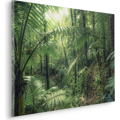 Komar Canvasbild Jungleflair - 60 x 90 cm - Bild auf Keilrahmen - Naturmotiv (1/2)
