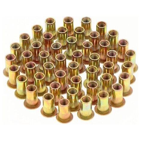 FENOPLASTICA150 écrous à sertir à tête plate M5, en acier au carbone galvanisé, avec différents inserts filetés M5, adaptés au métal et au plastique (10 mm x 13 mm) (1/5)