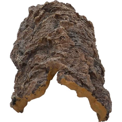 Hobby Grotta della Corteccia (1/4)
