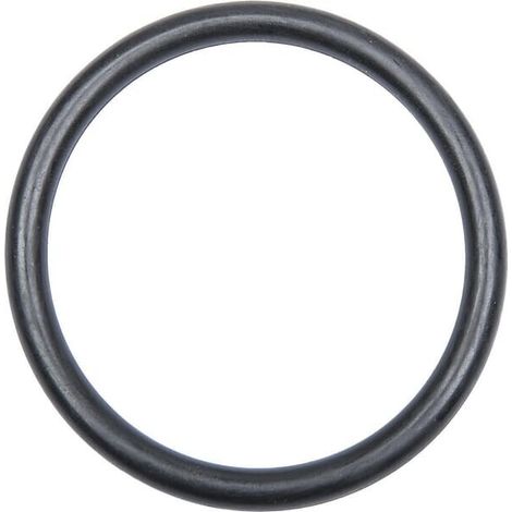 Anello O-ring 5,33x53,34 mm LANDINI 835126M1