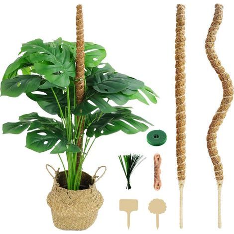 Lot de 4 tuteurs de jardin pour Monstera deliciosa, support grimpant, poteaux en mousse flexibles et malléables, pothos et plantes grimpantes - XF17 (1/5)