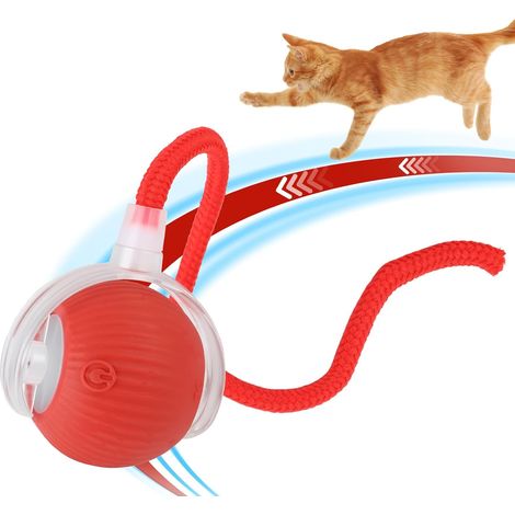 Balle Interactive Balle Jouet Interactif Intelligente pour Chat et Chien (1/5)