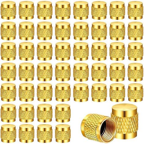 50 bouchons évasés en laiton massif de 6,35 mm (1/4 pouce) avec joint torique en néoprène, pour vannes CVC SAE de 6,35 mm (1/4 pouce). (1/5)