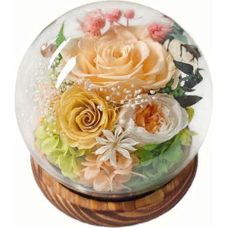 Caja de regalo con flores preservadas: cúpula esférica de cristal con tira de LED integrada un regalo práctico para cumpleaños y San Valentín — Modelo 7