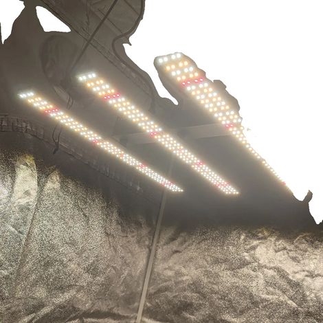 Lampada LED per coltivazione, spettro completo, alta efficienza (1/4)
