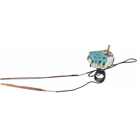 Thermostat de sécurité BBSC 12/81 – 2 sondes intégrées – Température de sécurité 110 °C – Longueur sonde 747 mm – Cotherm