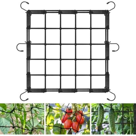 Sangles Élastiques de Jardinage pour Plantes Grimpantes – Support Réglable avec 6 Crochets pour Légumes et Fruits (1/5)