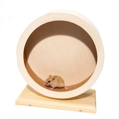 Roue De Course - Pour Hamster - En Bois Naturel - Diamètre 15 Cm - Silencieuse - Usage Intérieur - 1 Pièce (1/5)