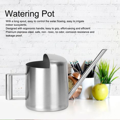 Arrosoir à long bec de 300 ml en acier inoxydable pour plantes vertes d'intérieur et bonsaïs (1/5)