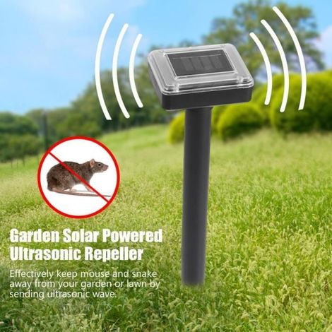 2 X Répulsif Ultrasons Oiseaux Solaire Répulseur de Nuisible pour Oiseaux,Rats,Cafards,fourmis (1/4)