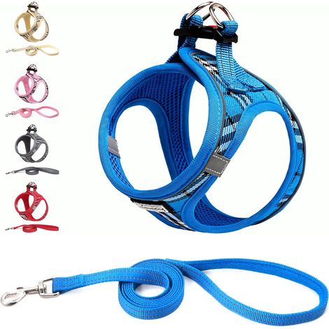 Harnais Chien et Laisse - Respirant - Réfléchissant - Step-in Harnais pour Chiens, Gilet Rembourré Confort Mesh Doux pour Petite Chiens Chats pour Marcher, Courir (Bleu, XXS) (1/5)