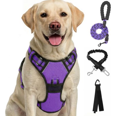 Harnais pour Chien Réglable et Anti-Traction avec Laisse et Ceinture de Sécurité, Gilet Confortable et Respirant pour Chiens de Toutes Tailles
