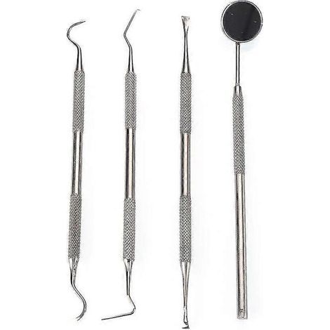 Zahnsteinentfernungsset (Set mit 4 Hygieneinstrumenten zur Entfernung von Zahnbelag)