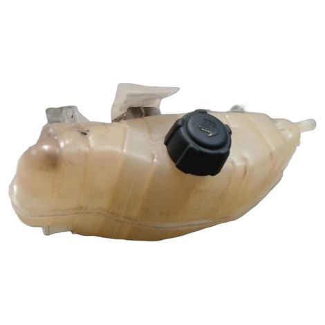 Vase Expansion RENAULT Clio 3 [PRODUIT D'OCCASION]♻️7701477290 (1/3)